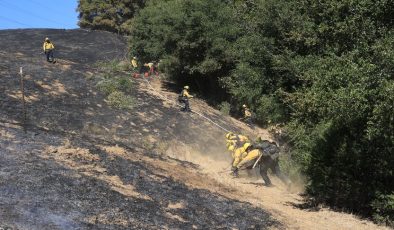 ABD’nin California eyaletinde çıkan yangında 14 bin 600 dönümden fazla alan yandı