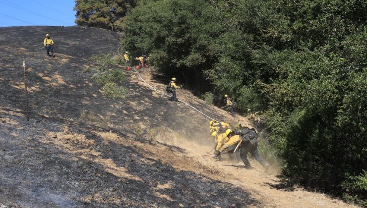 ABD’nin California eyaletinde çıkan yangında 14 bin 600 dönümden fazla alan yandı