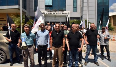 KTEZO ve Kasaplar Birliği’nden eylem‘Yerli et sübvanse edilsin’