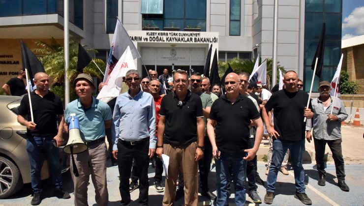 KTEZO ve Kasaplar Birliği’nden eylem‘Yerli et sübvanse edilsin’