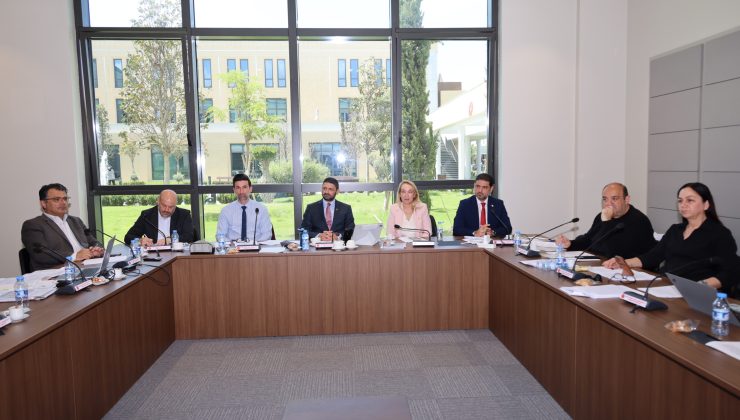 Cumhuriyet Meclisi İdari, Kamu ve Sağlık İşleri Komitesi Toplandı