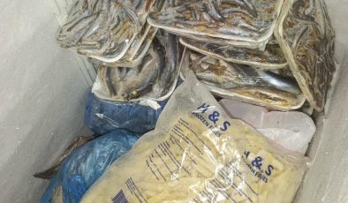 16 kilo balık imha edildi