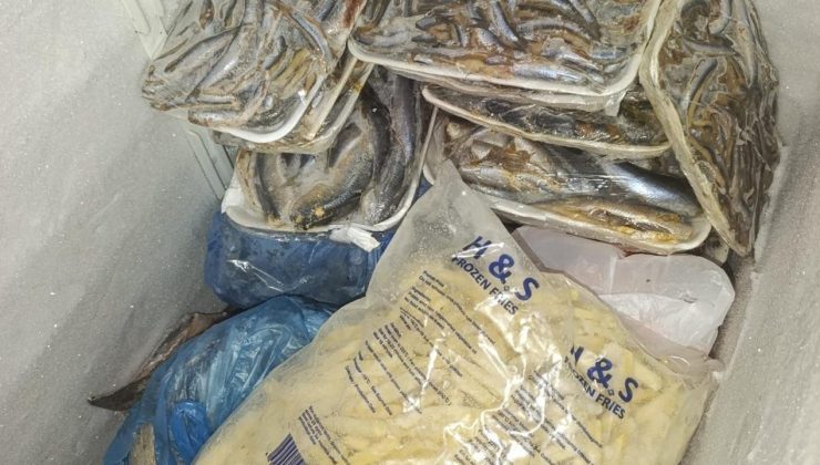 16 kilo balık imha edildi