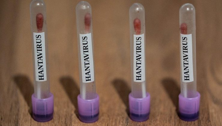 Sağlık Bakanlığı, hantavirüs görülen gemide KKTC vatandaşı bulunmadığını açıkladı