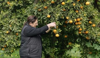 Biyolojik mücadelede yüzde 90 başarı