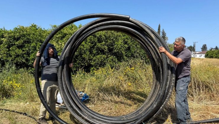 Narenciye üretiminde su tasarrufu ve verim artışı için proje başlatıldı