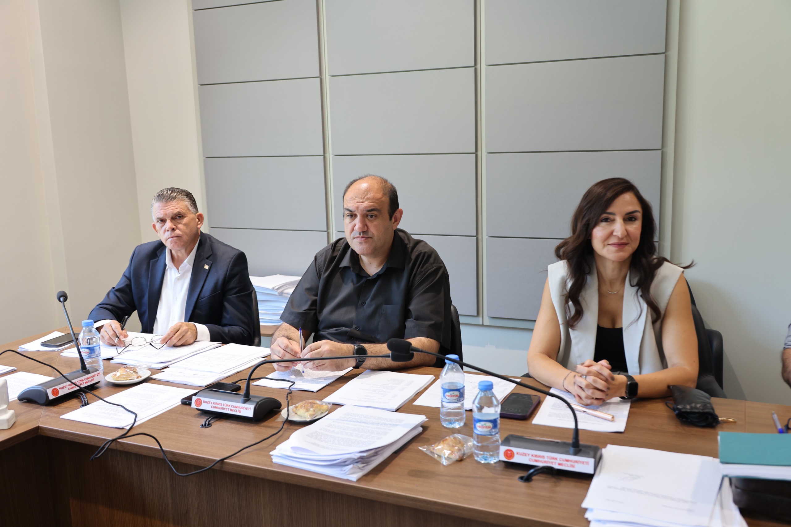 Cumhuriyet Meclisi İdari, Kamu ve Sağlık İşleri Komitesi toplandı