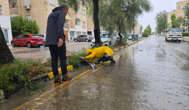 17 Ağaç Devrildi, Ekipler Sahada