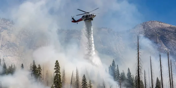 1790057631656Yosemite-2.webp.webp