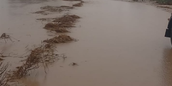 1790775251683yol.jpeg