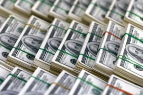 1792217176335dolar3-asma_cover.webp