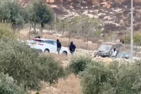 17923933324942026-10-17T171942Z_2076966206_RC245OAXMEPL_RTRMADP_3_ISRAEL-PALESTINIANS-SETTLERS-ATTAC.webp