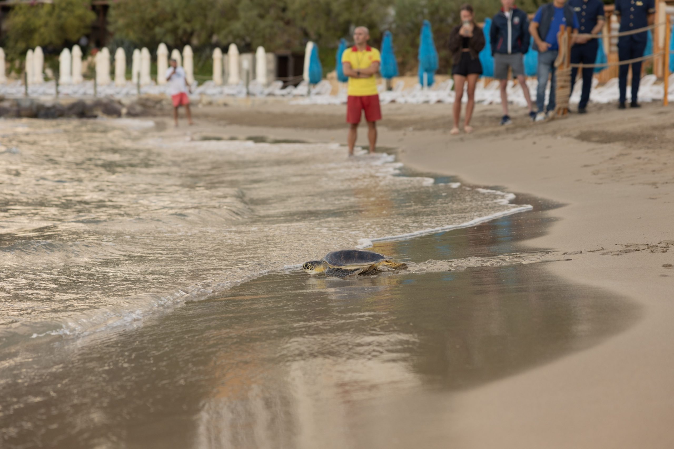 1792406814180MER-TTA-2-scaled.jpg