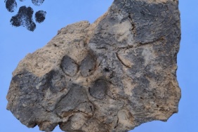 1793013676425AA-20261026-42867843-42867842-TAVSANLI_HOYUK_KAZILARINDA_YAKLASIK_4_BIN_YILLIK_PATI_IZL.jpeg