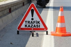 1793030454903traf-k-kazas-.jpg
